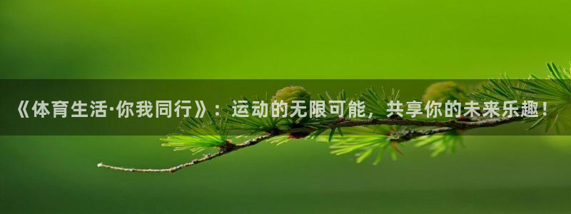 bsport必一运动