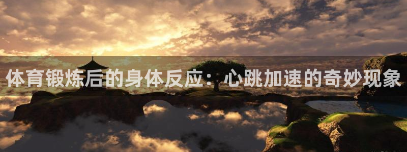 必一运动bsport体育