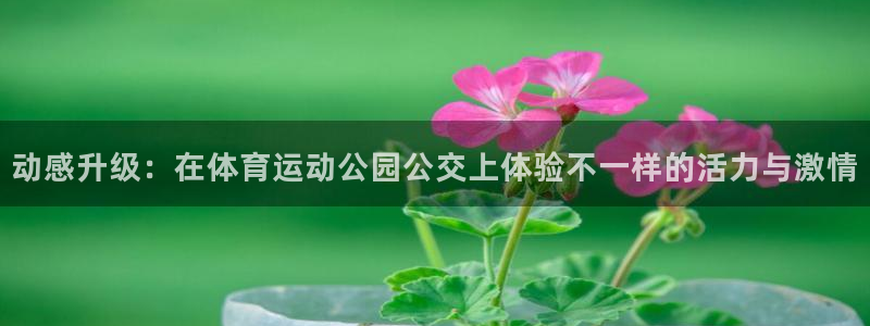 必一运动bsport体育