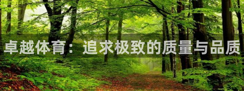 bsports必一运动