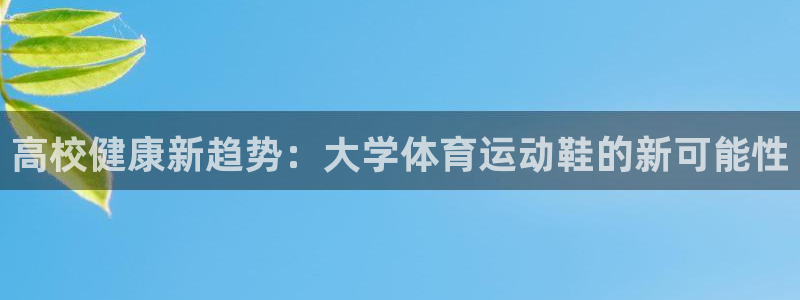 必一运动bsport体育