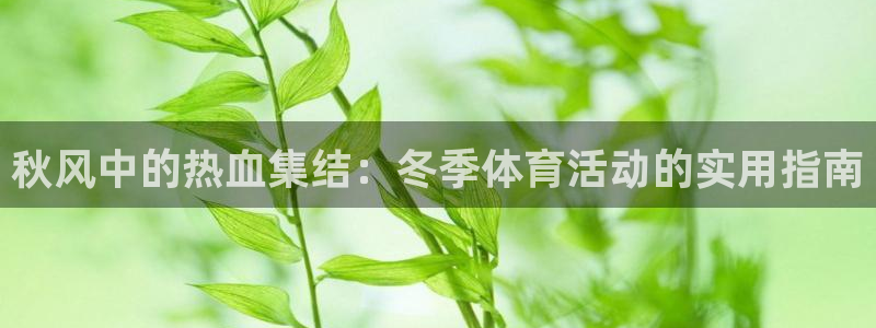 必一运动官网