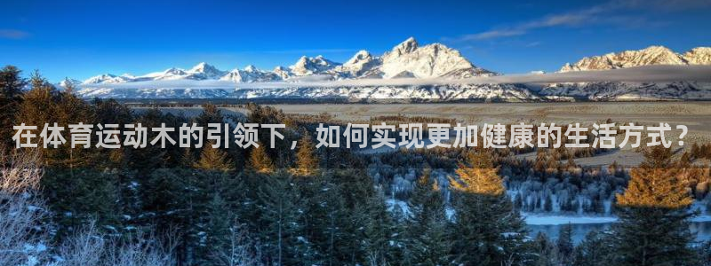必一运动体育官网入口