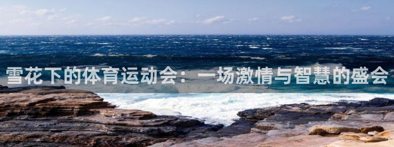 必一运动官网入口