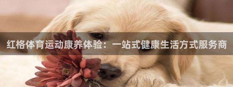 必一运动app