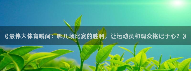 必一运动体育官网