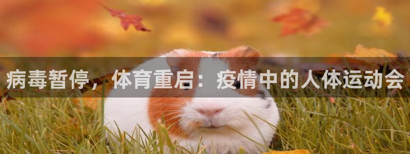 必一运动体育官网
