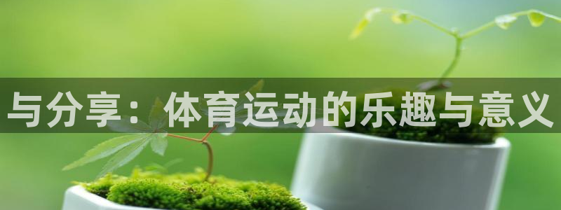 必一运动bsport体育