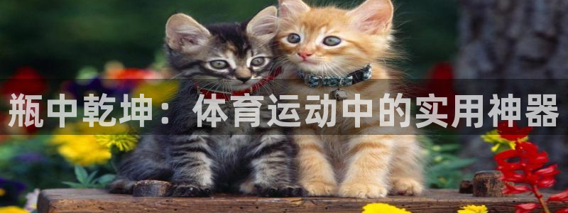 必一运动体育官网入口