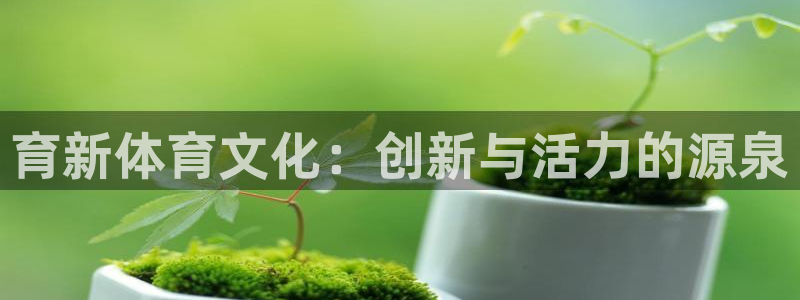 bsports官网 必一运动